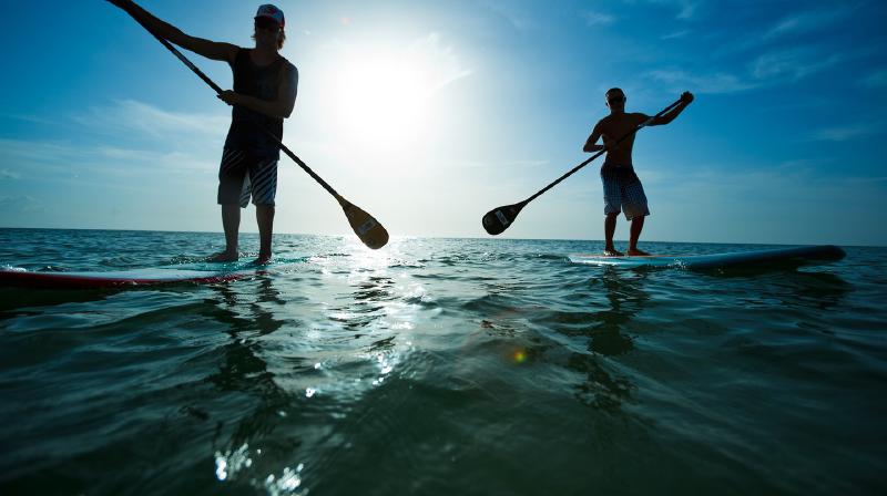 Featured image of post Paddle飞桨部署方案